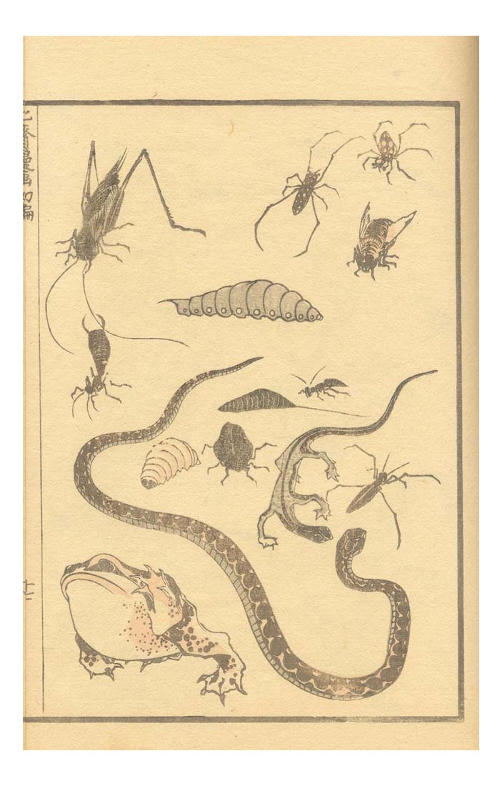 027661, historic, vintage ukiyo-e Japan artwork,12x8"(A4) Poster Print