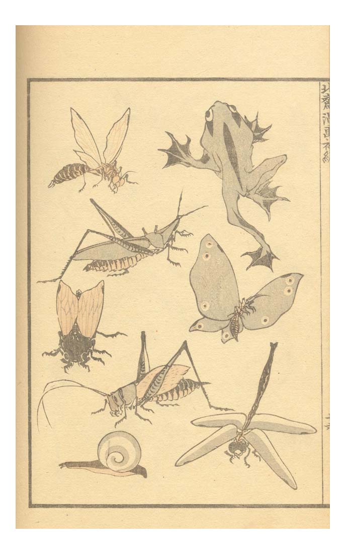 027662, historic, vintage ukiyo-e Japan artwork,12x8"(A4) Poster Print