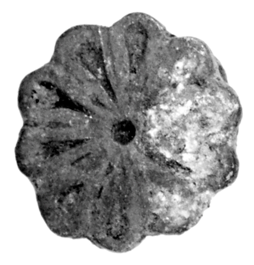 Unknown:Rosette Button, Poster Print Wall Art