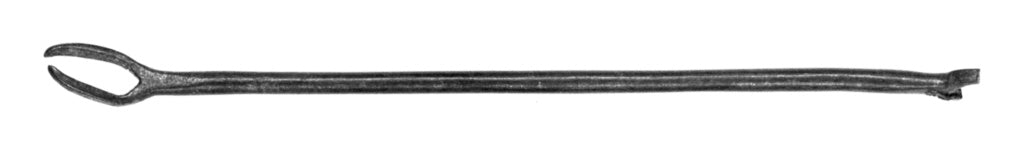 Unknown:Medical Instrument with Fork Finial, Poster Print Wall Art