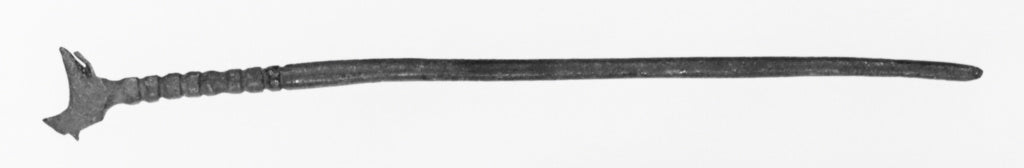 Unknown:Fibula or Probe with Bird Finial, Poster Print Wall Art