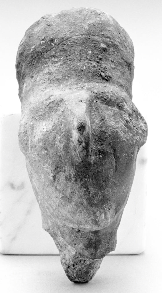 Unknown Artist:Human Head, Poster Print Wall Art