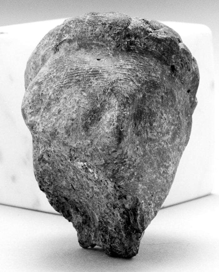 Unknown:Male Head,16x12