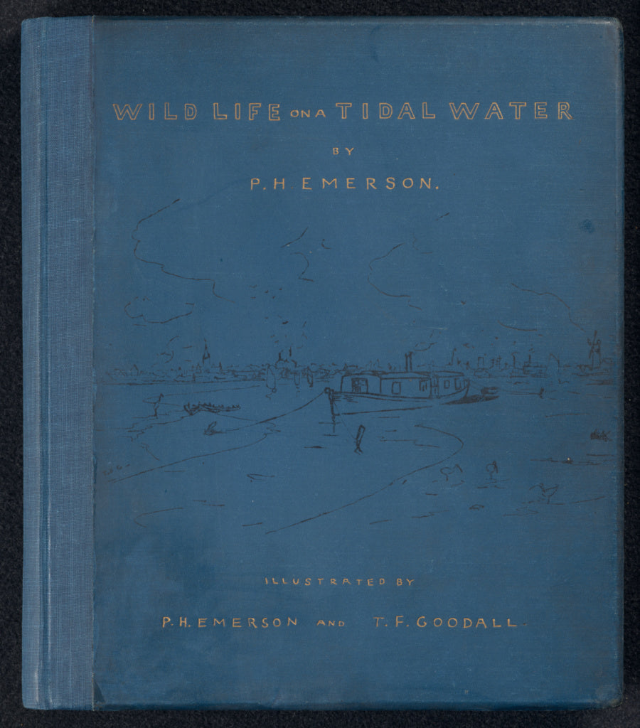 Peter Henry Emerson:Wild Life on a Tidal Water. The Adventur, Poster Print Wall Art