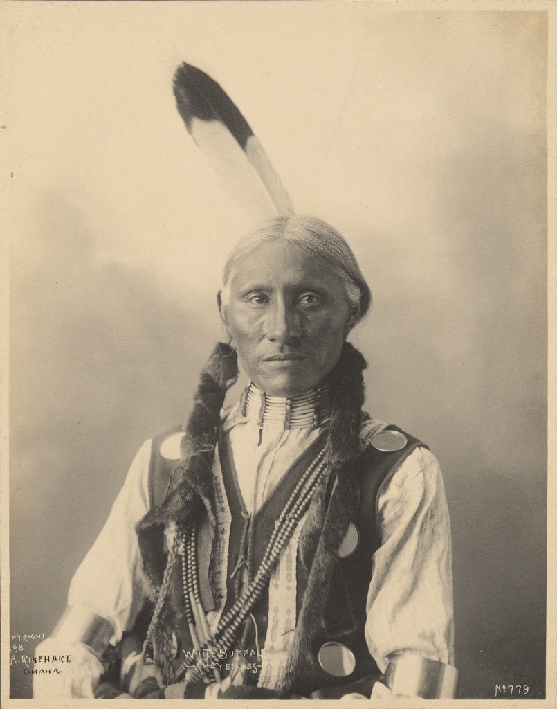 Adolph F. Muhr:White Buffalo, Cheyennes, Poster Print Wall Art