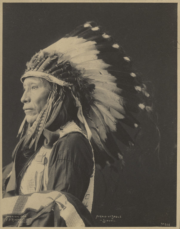 Adolph F. Muhr:Afraid of Eagle, Sioux, Poster Print Wall Art