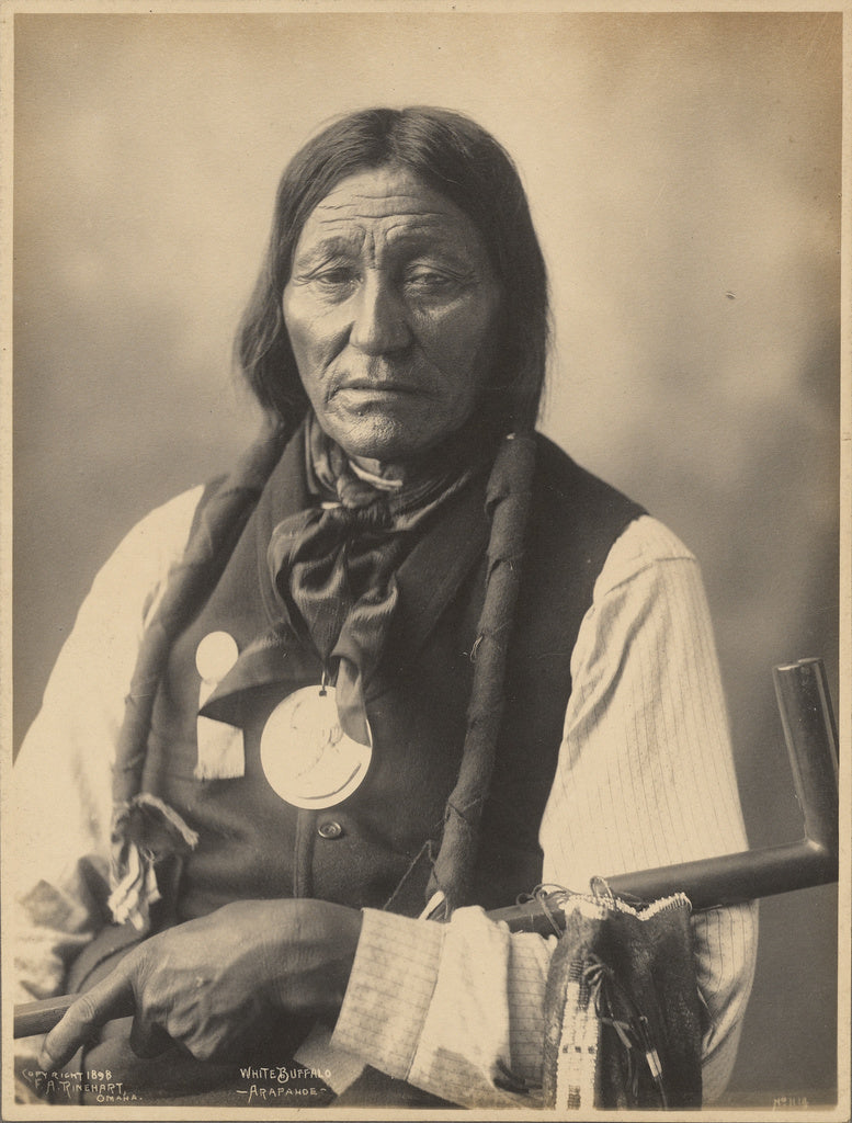 Adolph F. Muhr:White Buffalo, Arapahoe, Poster Print Wall Art