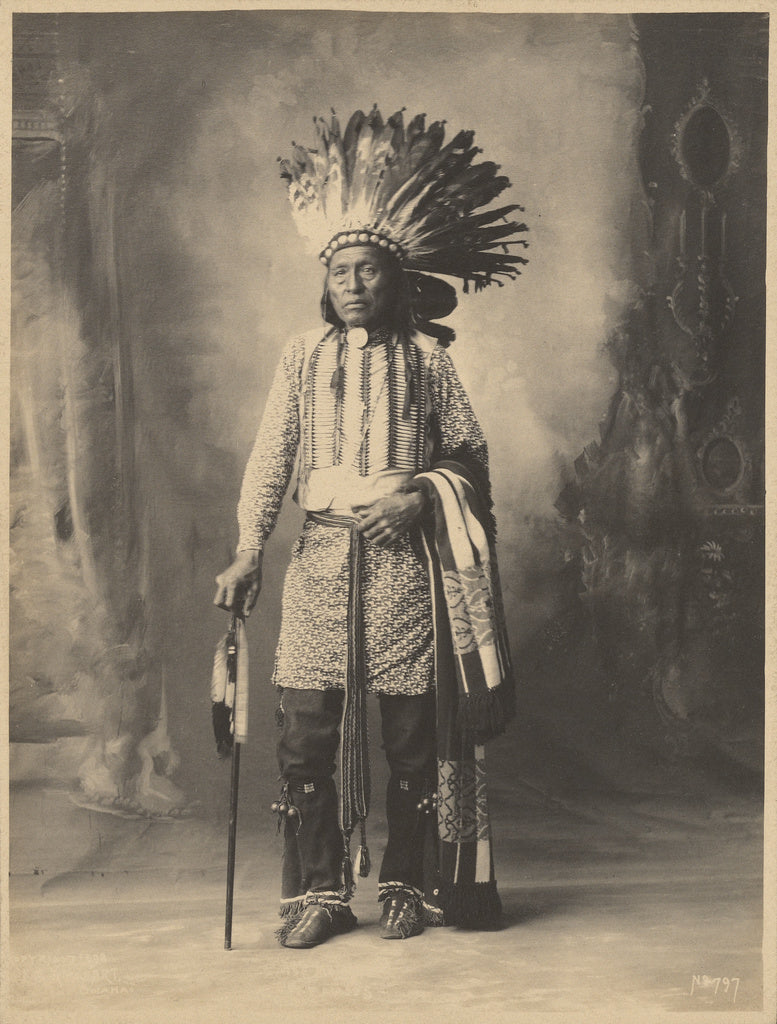 Adolph F. Muhr:[Native American Male], Poster Print Wall Art
