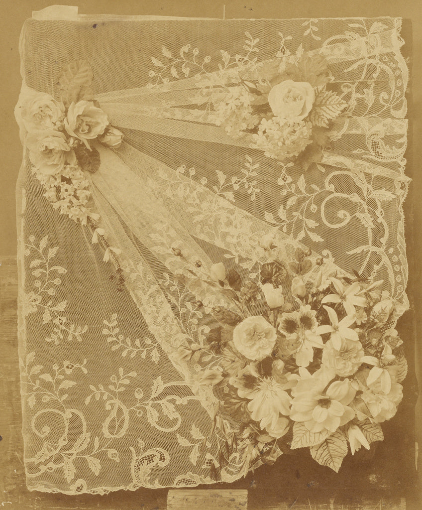 Bisson Frères:[Lace and floral composition], Poster Print Wall Art