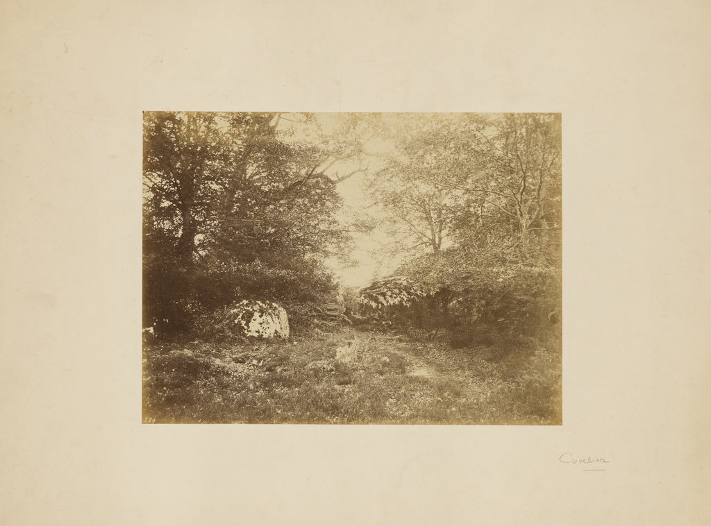 Eugène Cuvelier:[Landscape study], Poster Print Wall Art