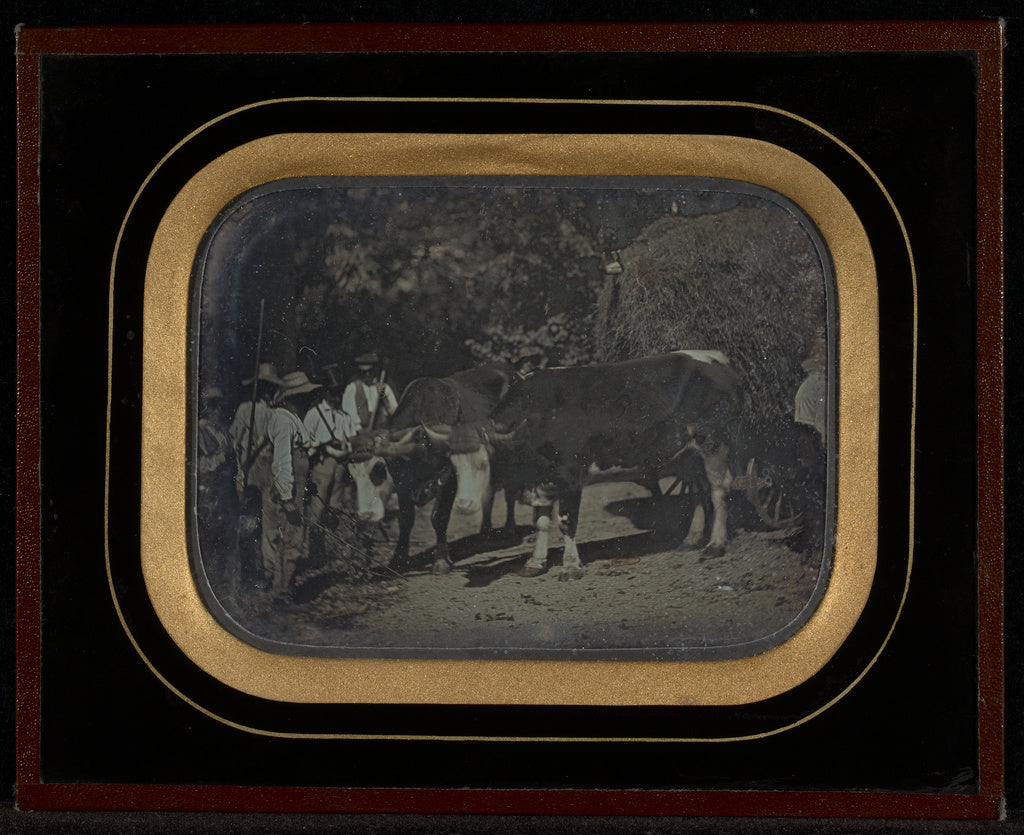 Jean-Gabriel Eynard:[Peasants with oxen and wagon], Poster Print Wall Art