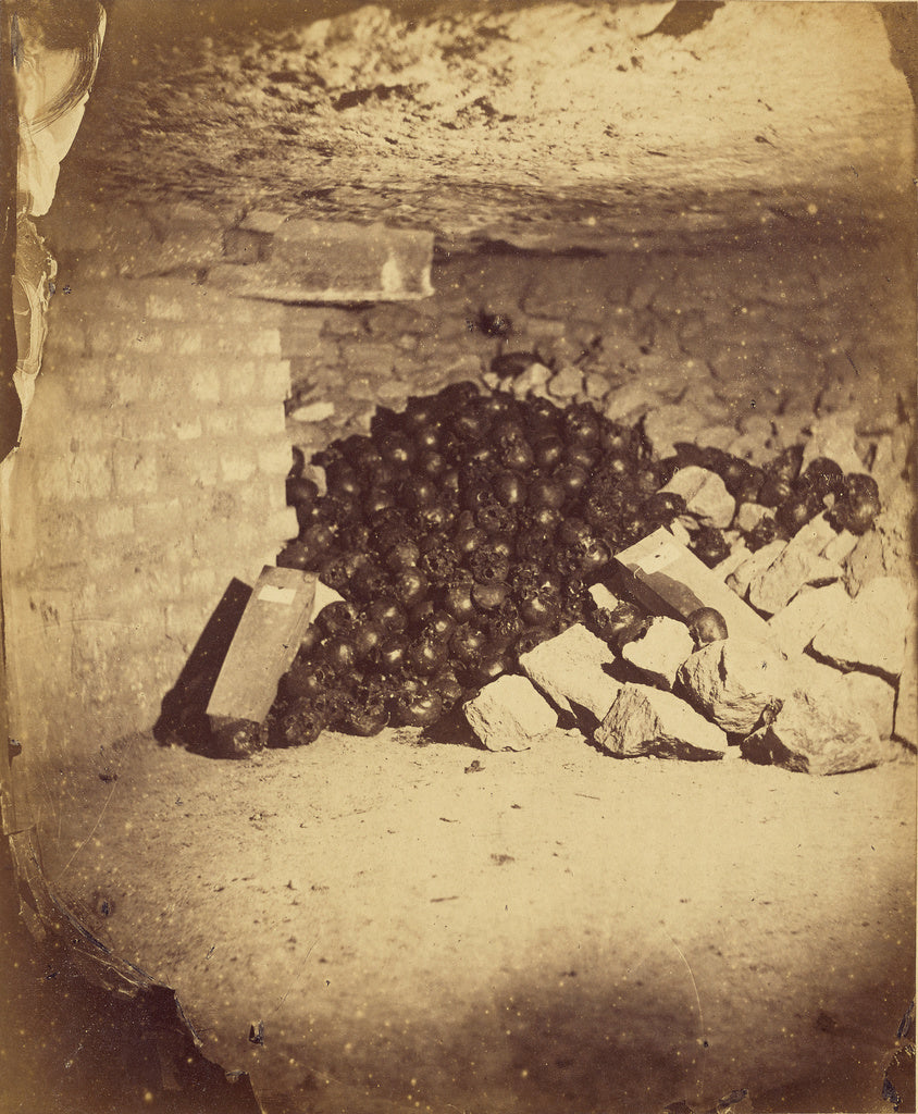 Nadar [Gaspard Félix Tournachon]:[Amoncellement de cranes], Poster Print Wall Art