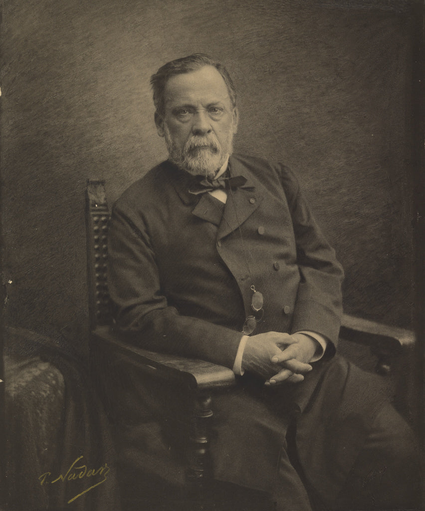 Paul Nadar:[Louis Pasteur], Poster Print Wall Art