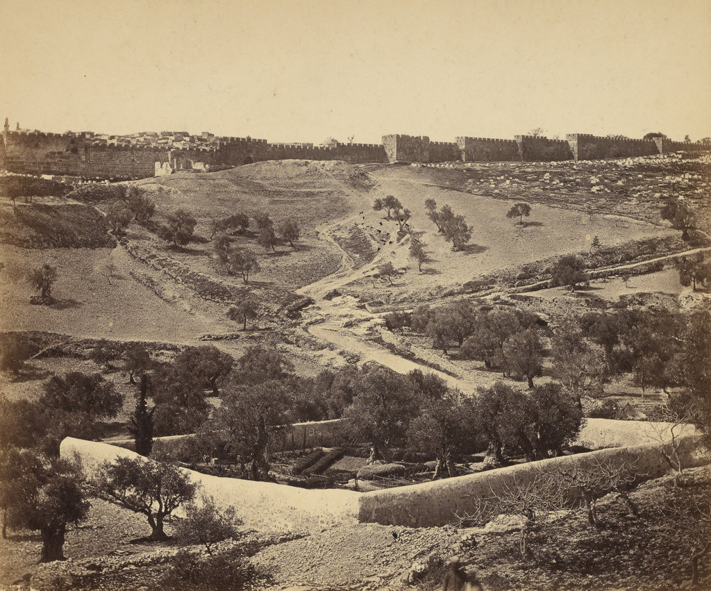 James Robertson:[Jerusalem. Jardin de Gesthsemane], Poster Print Wall Art