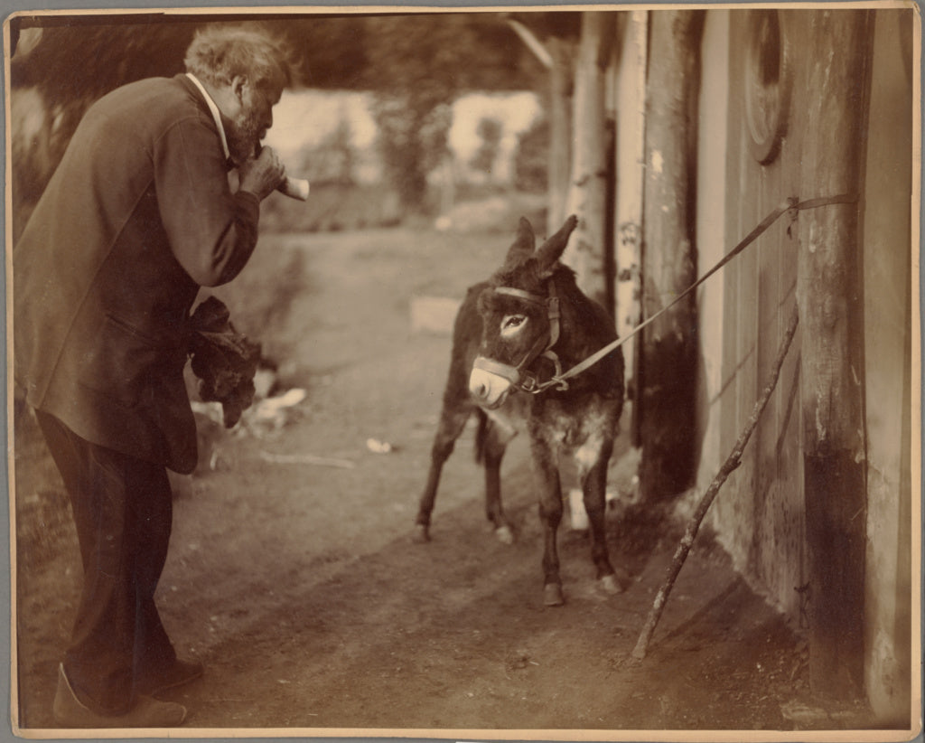 Nadar [Gaspard Félix Tournachon]:[L'áne Biribi, Sénart], Poster Print Wall Art