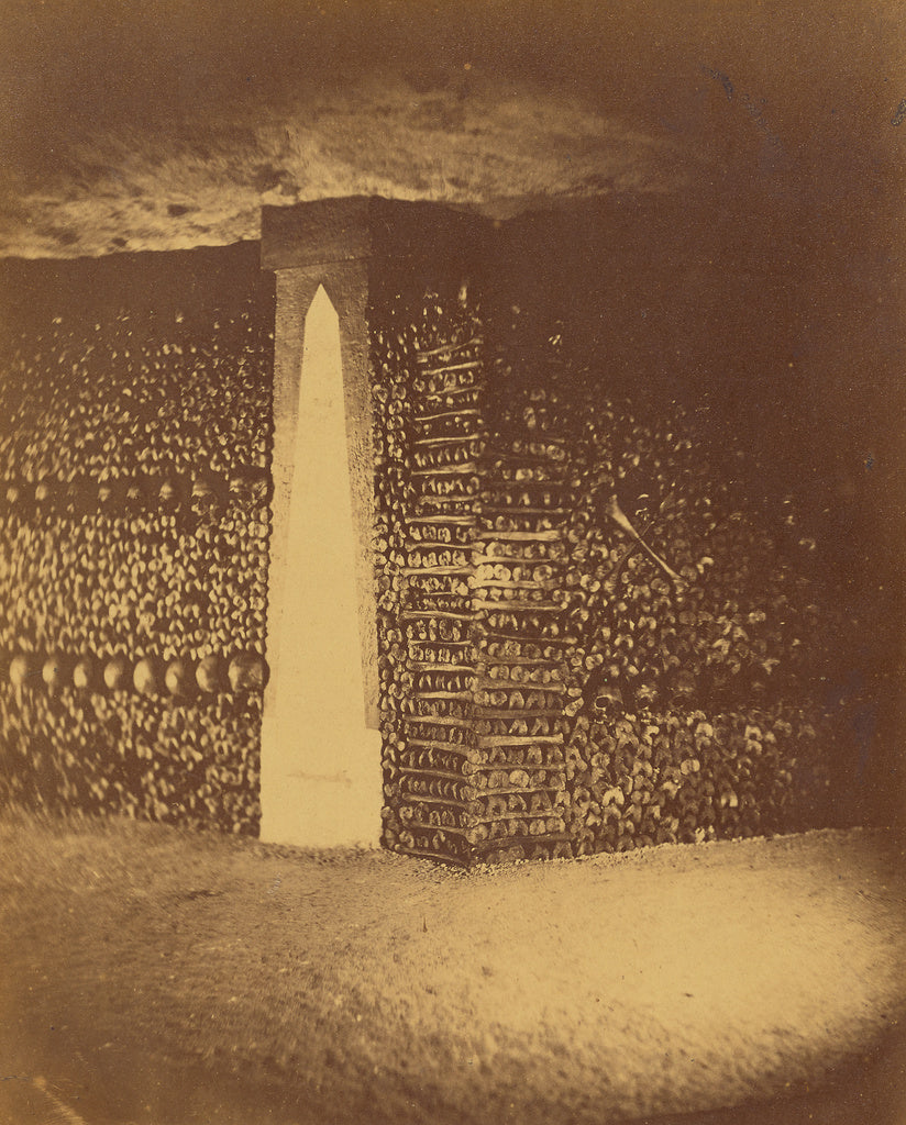 Nadar [Gaspard Félix Tournachon]:[Layers of Tibias], Poster Print Wall Art
