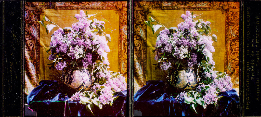 Lumière Brothers:[Lilacs], Poster Print Wall Art