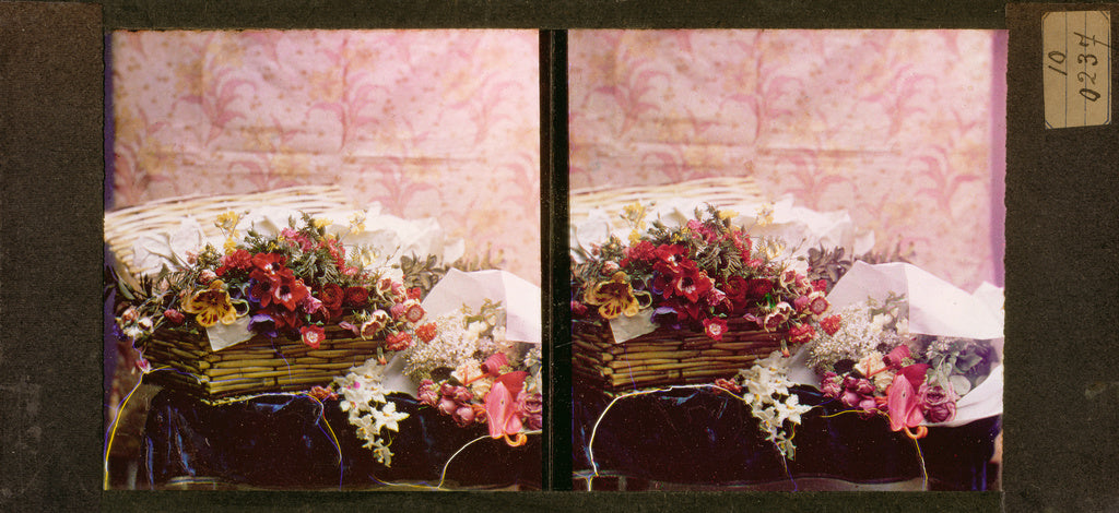 Lumière Brothers:[Still life of flowers in a basket], Poster Print Wall Art