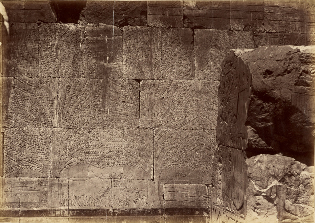 Antonio Beato:[Dec el Bahari], Poster Print Wall Art