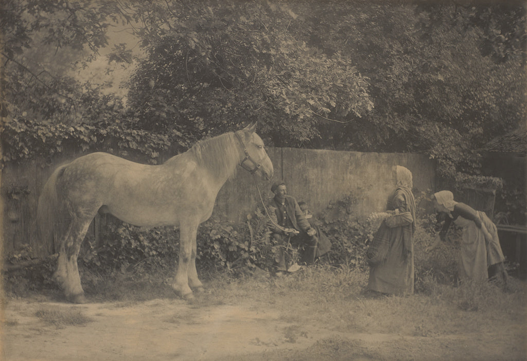 Henry Peach Robinson:[Old Dapple], Poster Print Wall Art