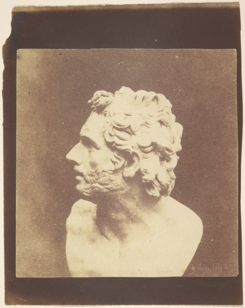 William Henry Fox Talbot:[Bust of Patroclus], Poster Print Wall Art
