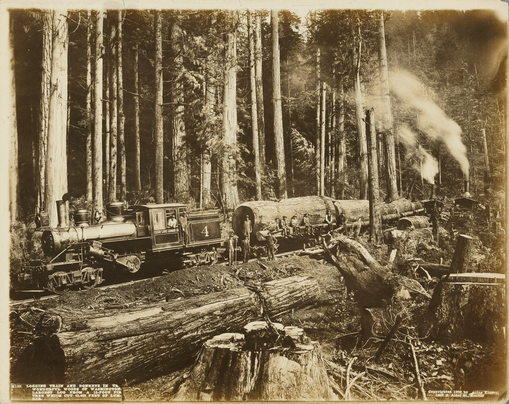 Darius Kinsey:Logging Train and Donkeys in the Wonderful Woo, Poster Print Wall Art