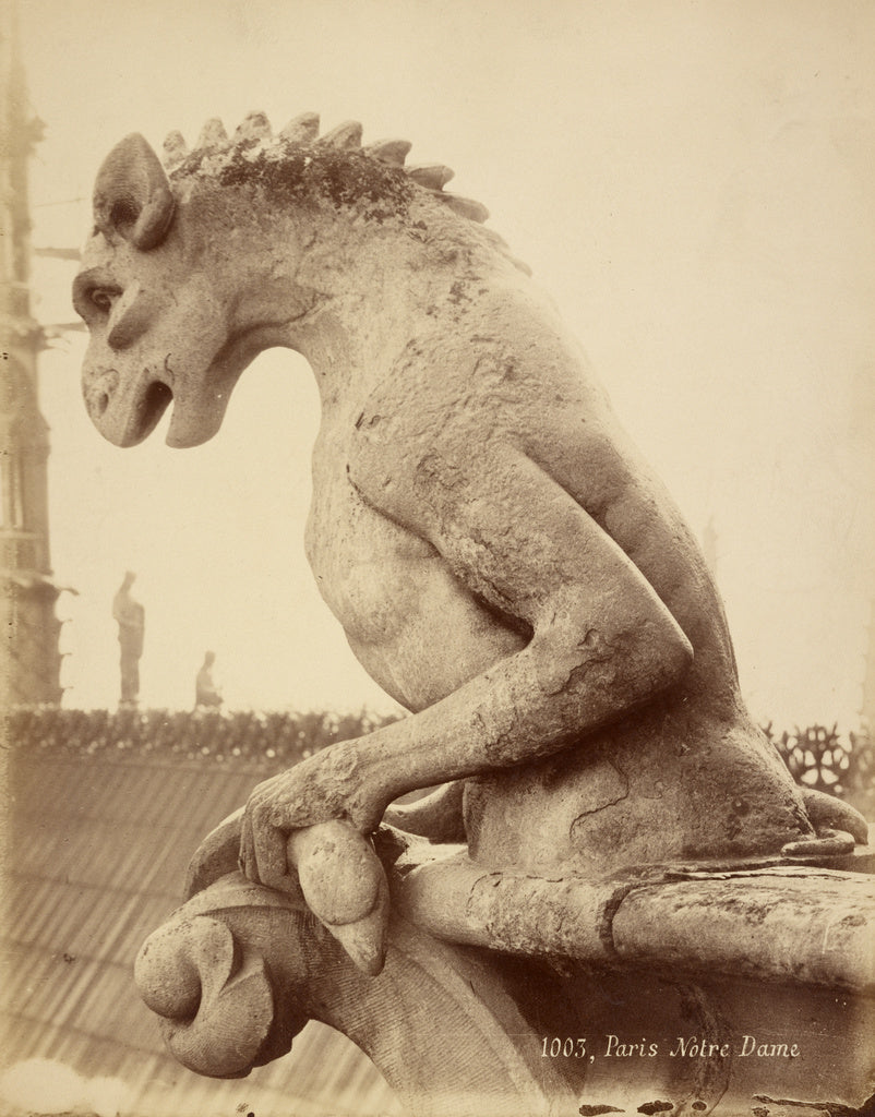 Unknown maker, French:[Gargoyle, Notre Dame, Paris, France], Poster Print Wall Art