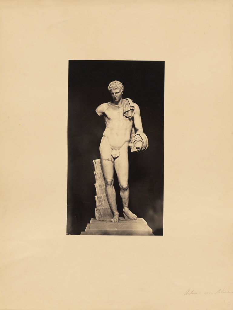 James Anderson:Belvedere Antonius, Poster Print Wall Art