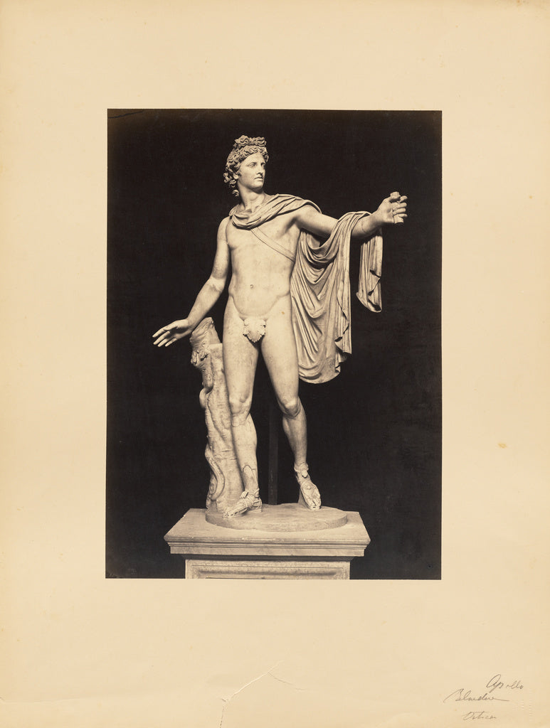 James Anderson:Apollo Belvedere, Poster Print Wall Art