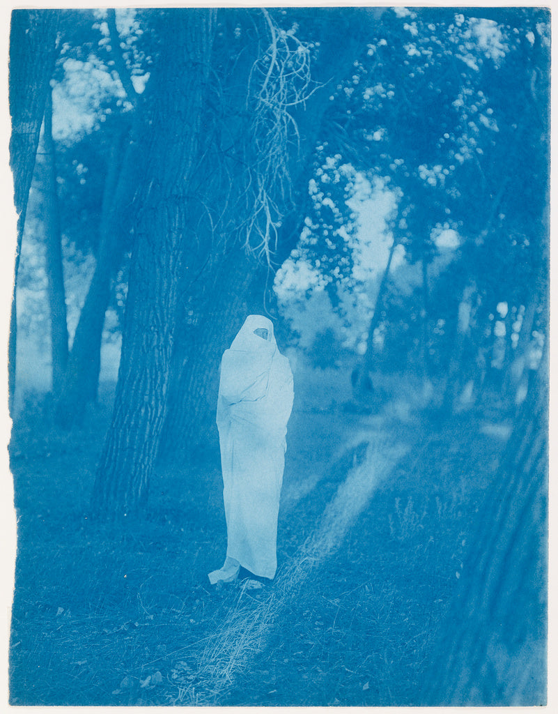 Edward S. Curtis:Waiting in the Forest - Cheyenne, Poster Print Wall Art
