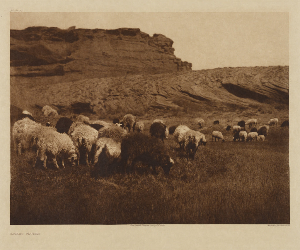 Edward S. Curtis:Navaho Flocks, Poster Print Wall Art