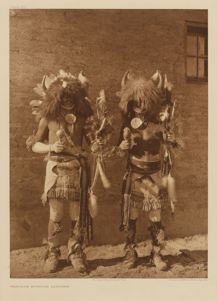 Edward S. Curtis:Tesuque Buffalo Dancers, Poster Print Wall Art