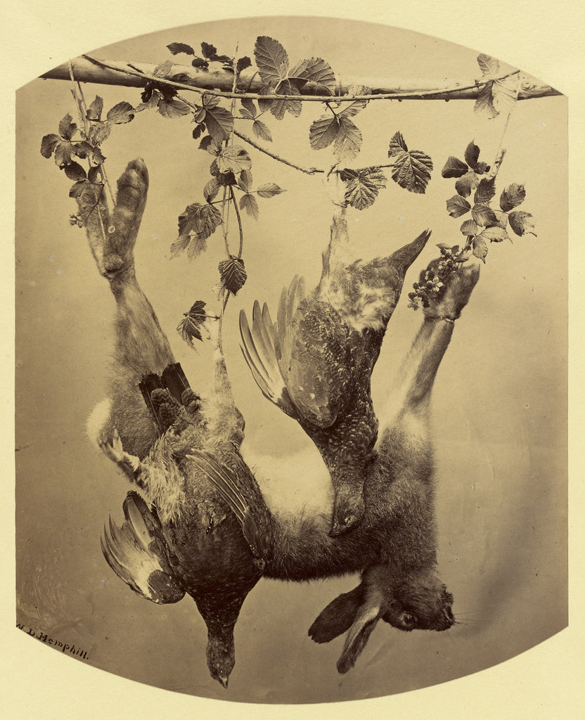 William Despard Hemphill, M.D.:[Still Life with Dead Animals, Poster Print Wall Art