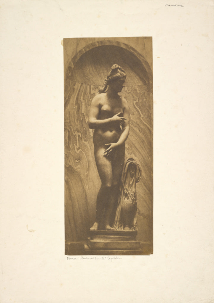 Giacomo Caneva:[Capitoline Venus], Poster Print Wall Art