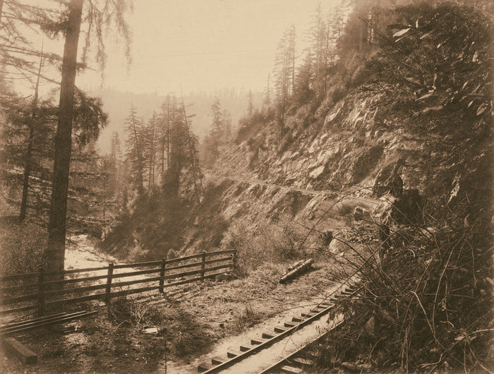 Edward L. Woods:Ore Tracks Near Santa Cruz, California,16x12