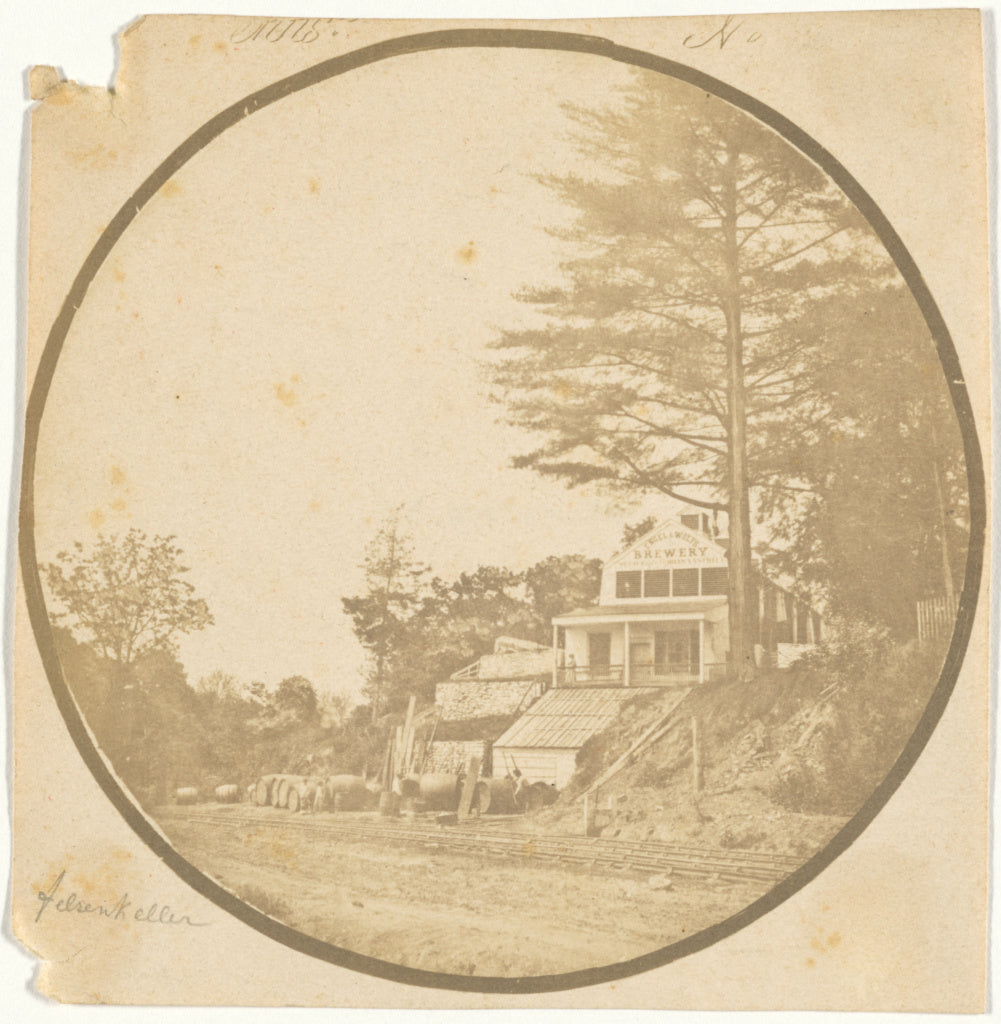 Langenheim Brothers [Frederick and William Langenheim]:[Fels, Poster Print Wall Art