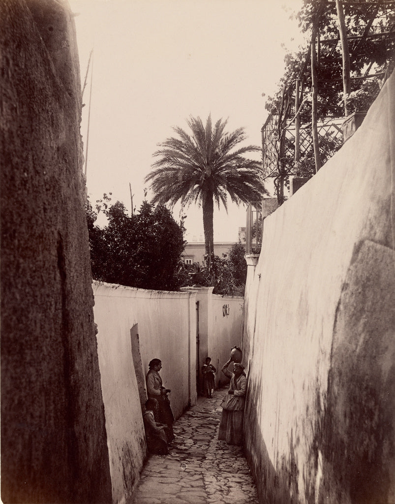 James Anderson:Capri, Poster Print Wall Art
