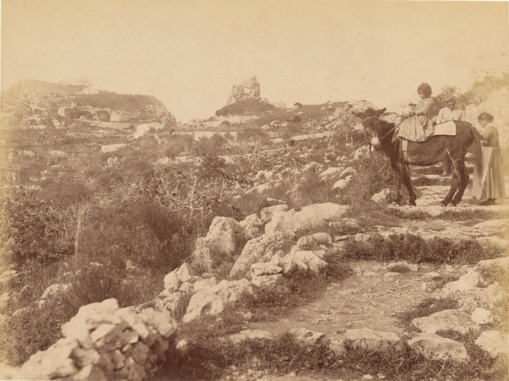 James Anderson:Capri [child on mule], Poster Print Wall Art