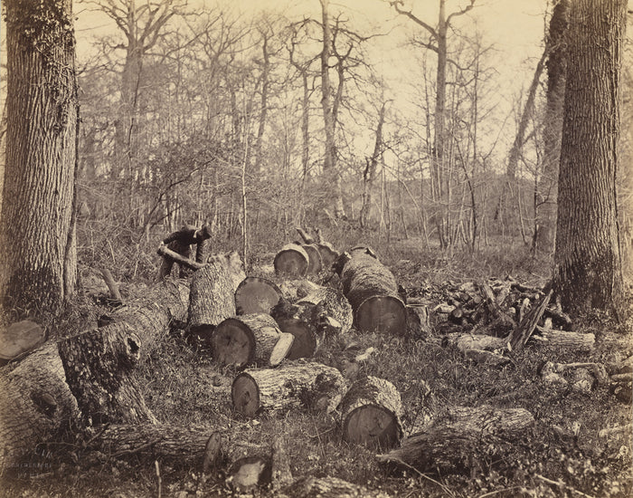 Constant Alexandre Famin:[Forêt de Fontainebleau],16x12