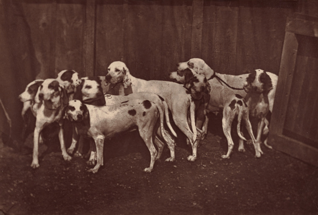 Léon Crémière:[Dogs], Poster Print Wall Art