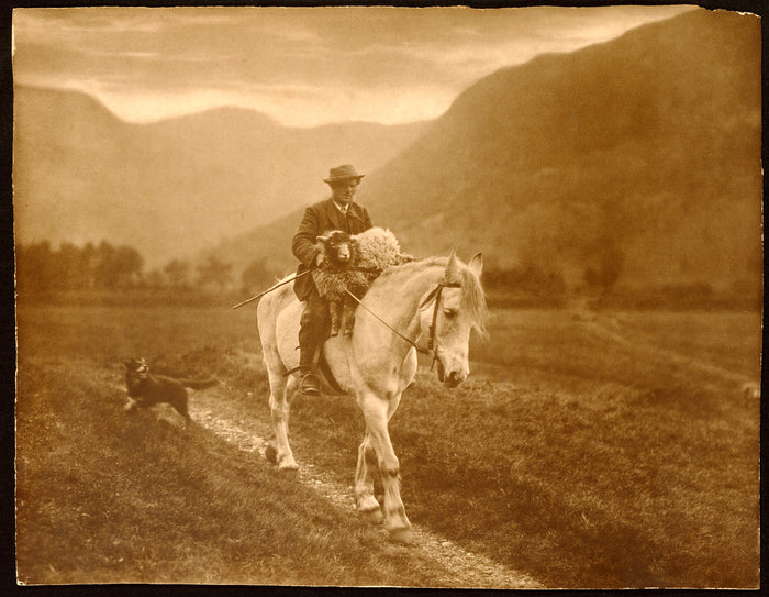 Walmsley Brothers:[Man with sheep on horseback],16x12