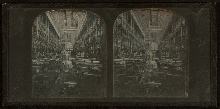 Joseph Amadio:[Crystal Palace, transept showing Osler's glas,16x12