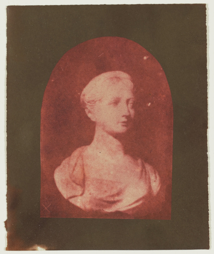 William Henry Fox Talbot:[Bust of a Young British Woman], Poster Print Wall Art