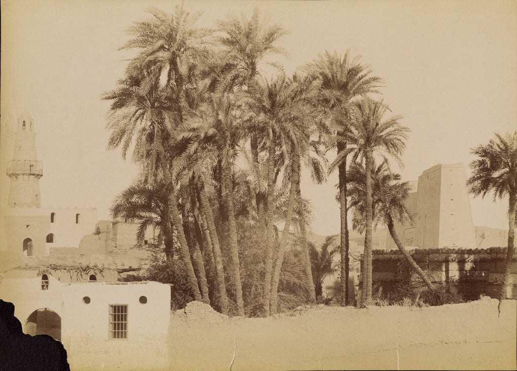 Antonio Beato:[Village and Pylon of Edfu]  / [Village et Pyl, Poster Print Wall Art