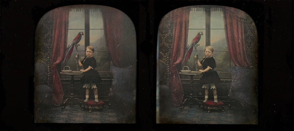 Antoine Claudet:[Boy with parrot], Poster Print Wall Art