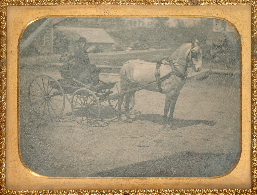 Unknown maker, American:[Horse and buggy with driver on seat, Poster Print Wall Art