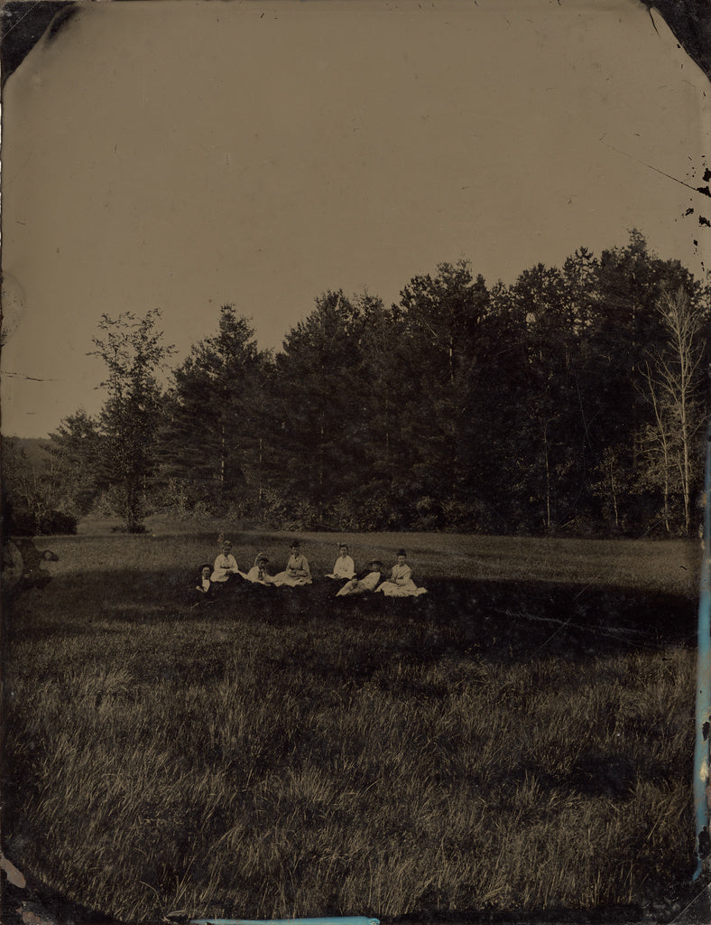 Unknown maker, American:[Group of picnickers in field], Poster Print Wall Art