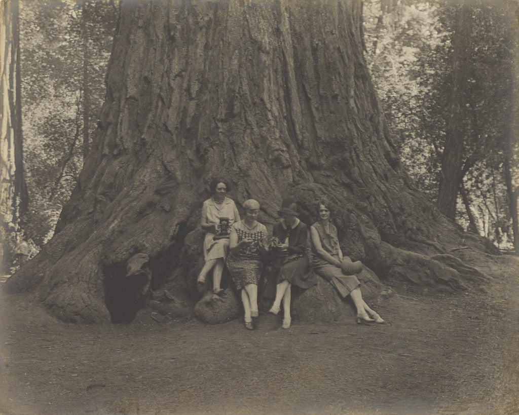 Louis Fleckenstein:[Women with Cameras at the Base of a Tree,16x12"(A3)Poster