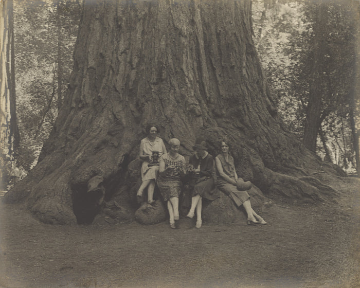 Louis Fleckenstein:[Women with Cameras at the Base of a Tree,16x12