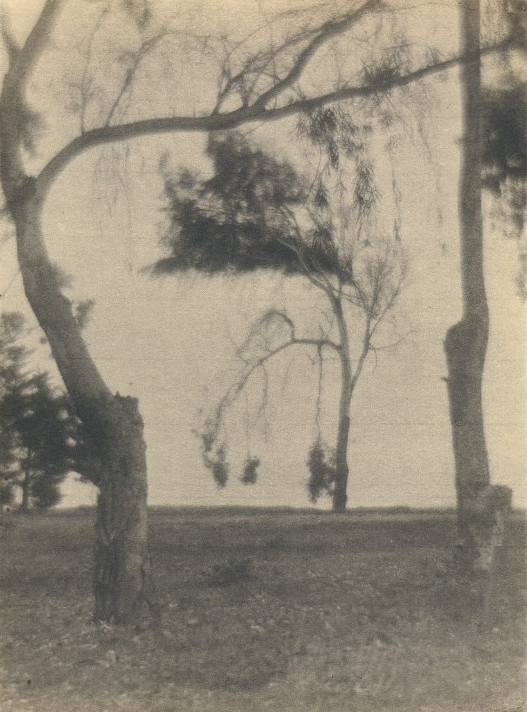 Louis Fleckenstein:[Landscape with Trees], Poster Print Wall Art